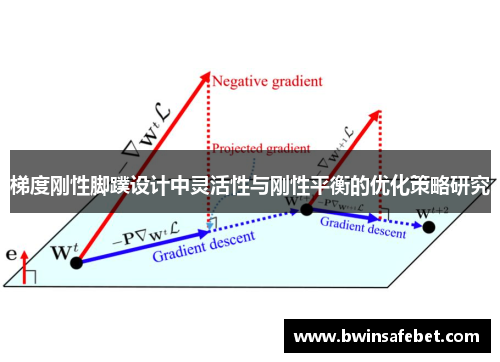 梯度刚性脚蹼设计中灵活性与刚性平衡的优化策略研究